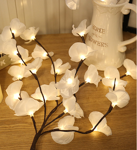 Branch Light adorned with delicate Phalaenopsis flowers.