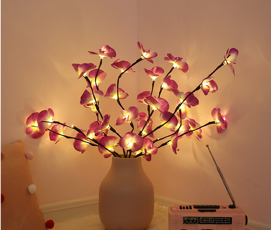 Branch Light adorned with delicate Phalaenopsis flowers.