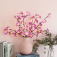 Branch Light adorned with delicate Phalaenopsis flowers.